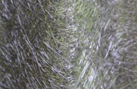 Haroldswick fibreglass roof work